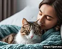 고양이 심폐소생술을 위한 자가 진단법 관련 이미지