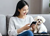 티티케어 앱의 목표 달성을 위한 체크리스트 관련 이미지