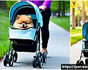 강아지 유모차의 휠 디자인과 성능 관련 이미지