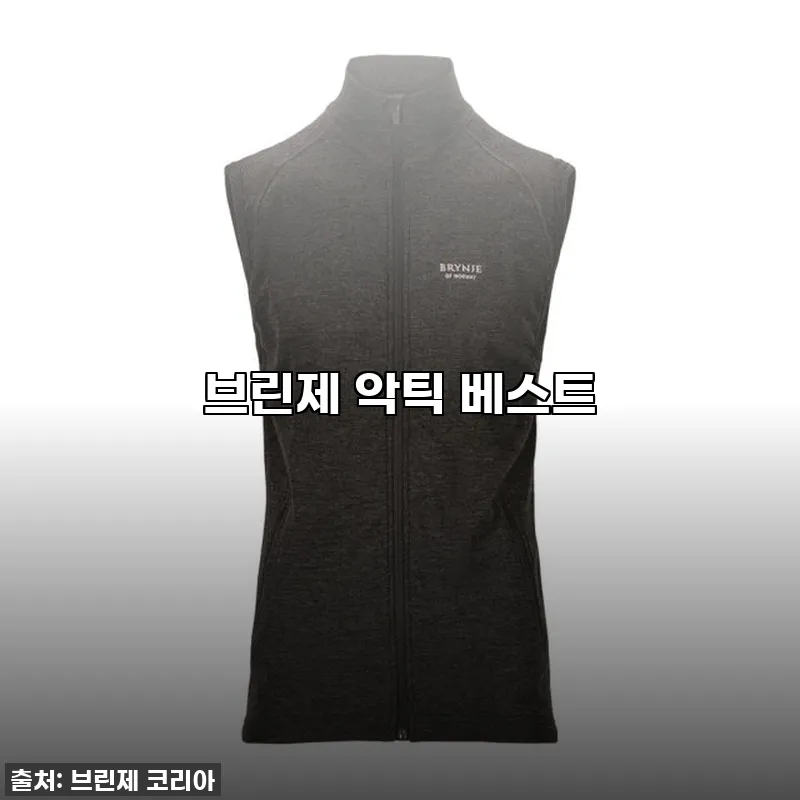 영하의 날씨도 끄떡없는 인생템! 브린 관련 이미지