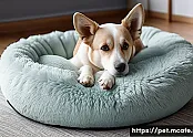 강아지 방석의 디자인과 편안함 비교 관련 이미지