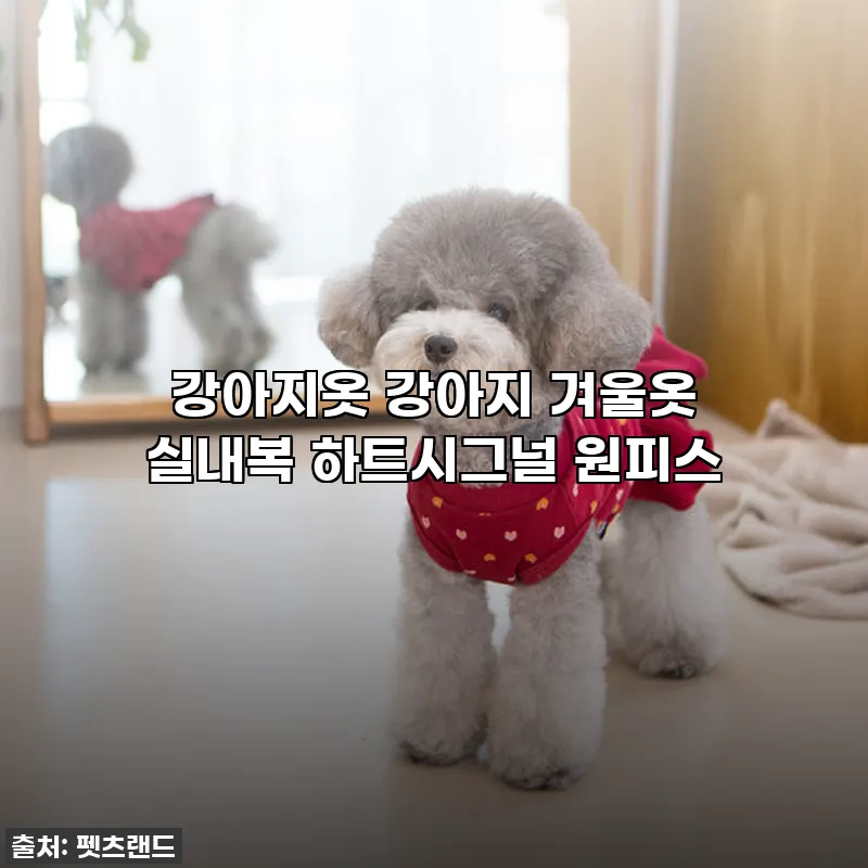 강아지 겨울옷 끝판왕 등장! 댕댕이 관련 이미지
