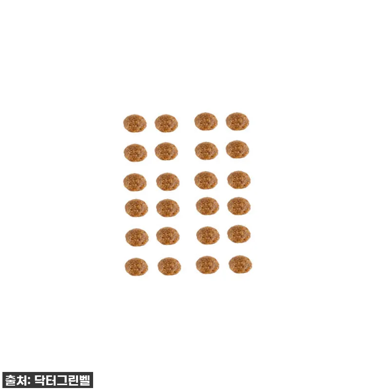 닥터그린벨도그연어 5kg, 우리 강아 관련 이미지