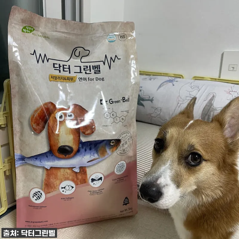 닥터그린벨도그연어 5kg, 우리 강아 설명 사진
