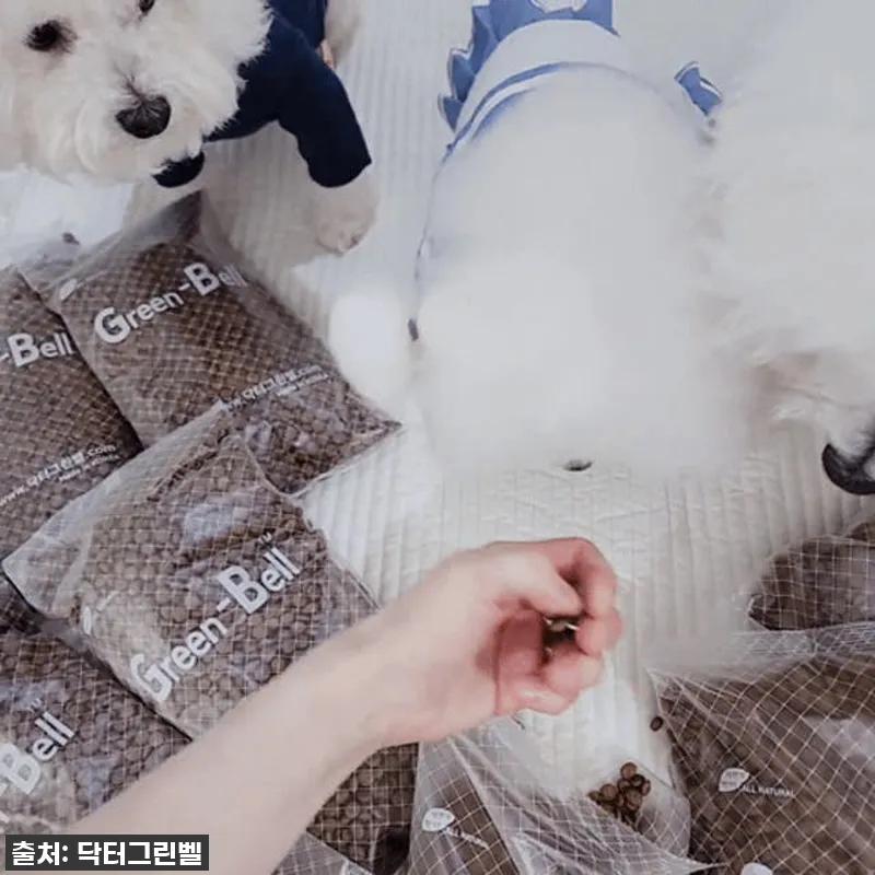 닥터그린벨도그연어 5kg, 우리 강아 참고 자료