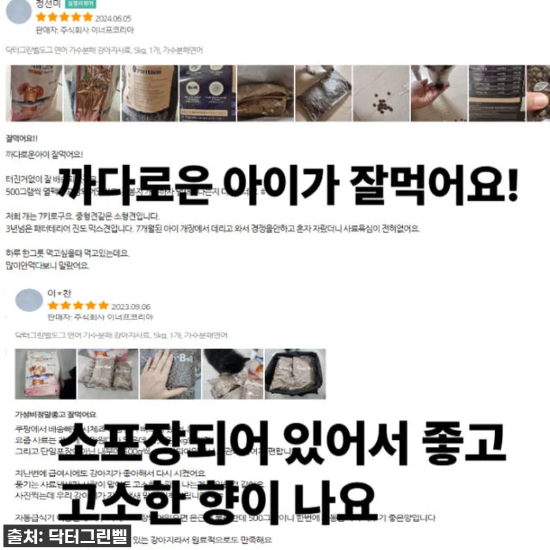 닥터그린벨도그연어 5kg, 우리 강아 설명 사진