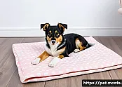 강아지 이불 DIY 만들기 가이드 관련 이미지