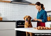 펫푸드의 가격대별 구매 가이드 관련 이미지