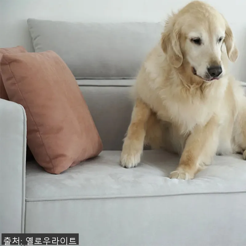 옐로우라이트 y3-17 기능성 패브릭 설명 사진