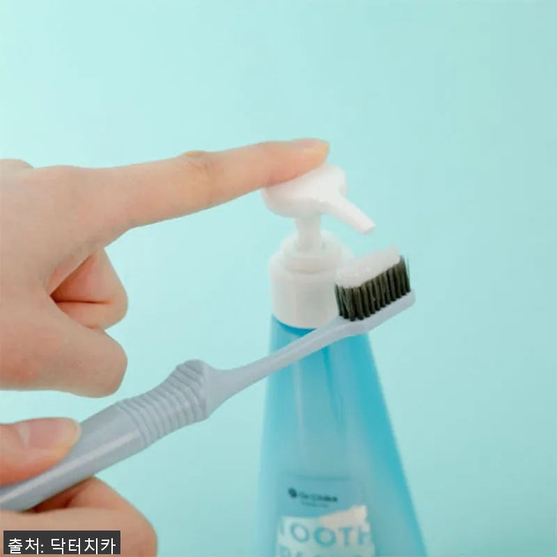 닥터치카 고불소 펌핑치약 히말라야 핑 참고 자료