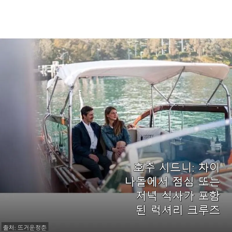 호주 시드니 차이나돌 럭셔리 크루즈 관련 이미지