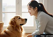 펫콕족의 애완동물과의 감정 교류 관련 이미지