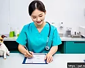 반려동물과 함께 떠나는 해외 여행 관련 이미지