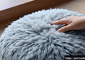 강아지 쿠션의 자가 진단법  손쉽게 상태 확인하기 관련 이미지