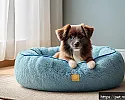 강아지 방석 유지보수 방법 관련 이미지
