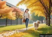 펫페어의 인플루언서와의 만남 관련 이미지