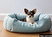 강아지 심리적 응급처치 방법 관련 이미지