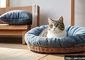 고양이 운동기 브랜드별 성능 비교 관련 이미지