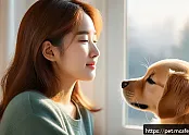 강아지 우울증 예방을 위한 사회화 방법 관련 이미지
