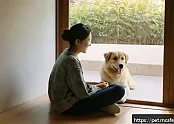 유기견과의 유대감 형성 방법 관련 이미지