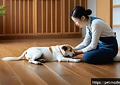 반려동물 심폐소생술 관련 자주하는 질문들 관련 이미지