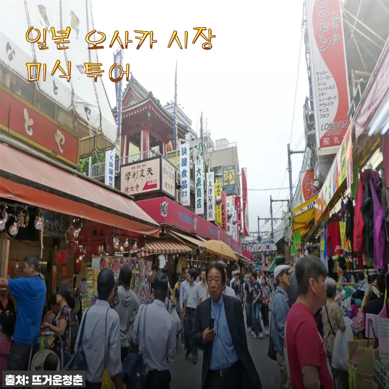 일본 오사카 시장 미식 투어 체험 후기, 할인 혜택까지 알차게 즐기기