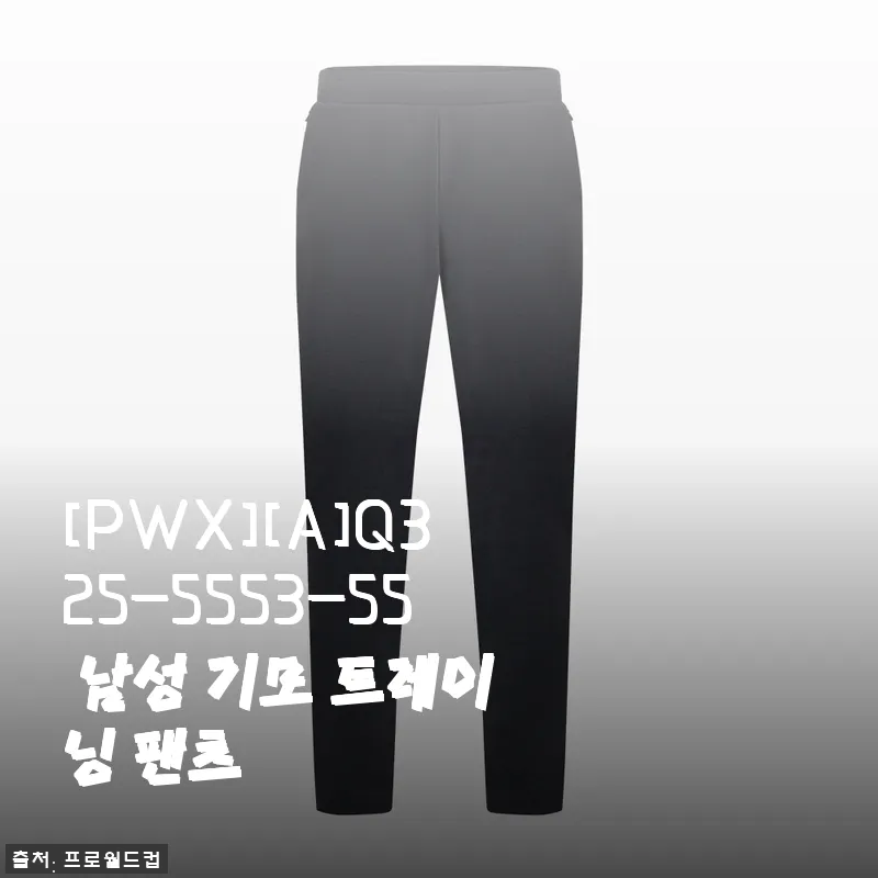 직접 입어본 [PWX][A]Q325-5553-55 남성 기모 트레이닝 팬츠 후기