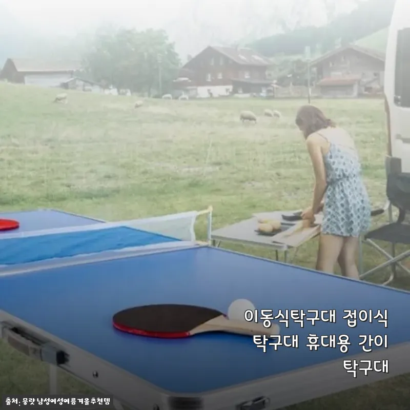 이동식탁구대 접이식탁구대 휴대용 간이탁구대 사용후기