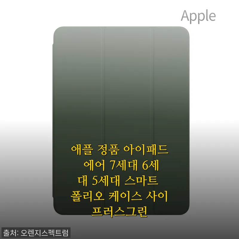 애플 정품 아이패드 에어 7세대 스마트 폴리오 케이스 사이프러스그린 사용후기