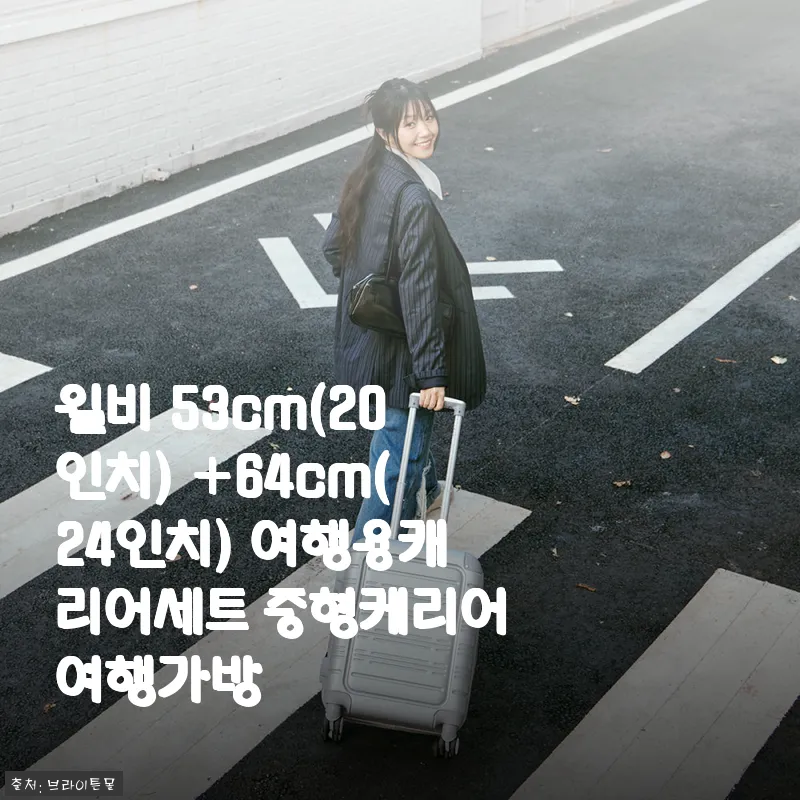 윌비 53cm+64cm 여행용 캐리어 세트 사용후기 - 실용성과 고급스러움을 동시에!
