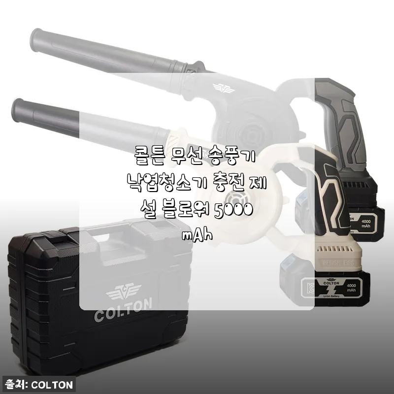 콜튼 무선 송풍기 낙엽청소기 사용후기: 봄맞이 집안과 차 청소에 딱이에요!