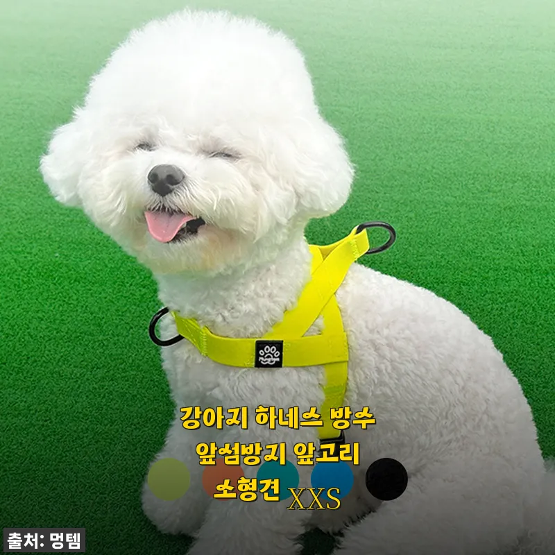 강아지 하네스 방수 앞섬방지 앞고리 소형견 XXS 사용후기