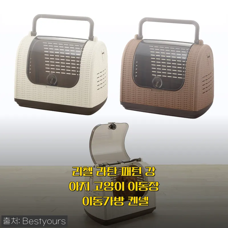리첼 라탄 패턴 강아지 고양이 이동장 사용후기 - 디자인과 내구성 모두 만족스러운 이동가방