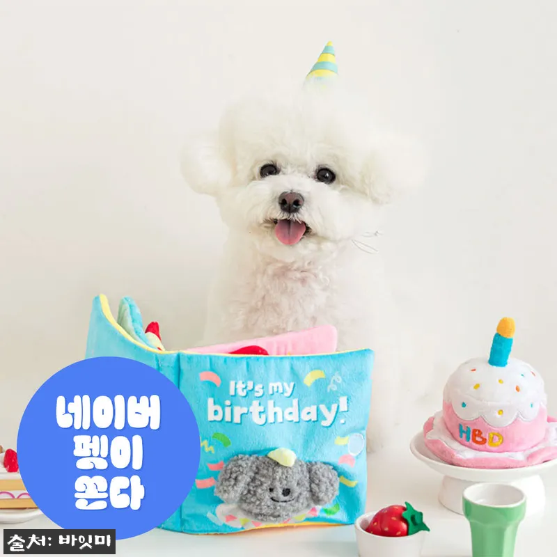 강아지 책 노즈워크 생일파티 장난감 설명 사진