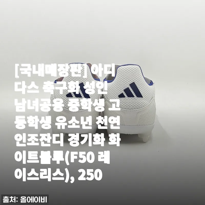 아디다스 F50 레이스리스 축구화 사용후기 - 편안함과 스타일을 동시에