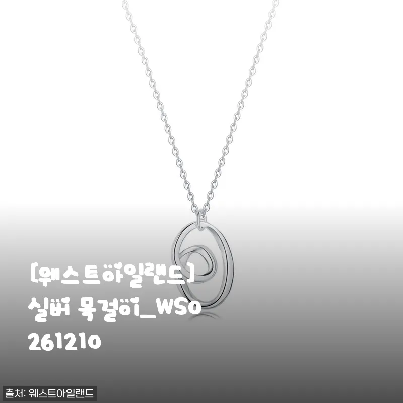 웨스트아일랜드 실버 목걸이_WS0261210 사용후기