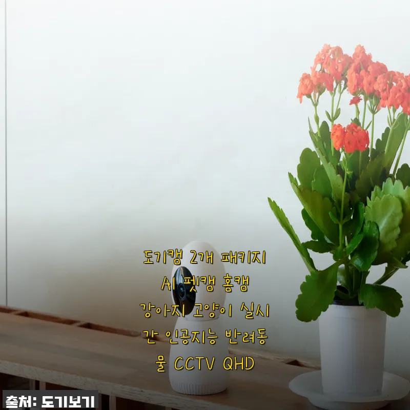 도기캠 2개 패키지 AI 펫캠 사용후기 - 반려동물과의 일상에 꼭 필요한 홈캠