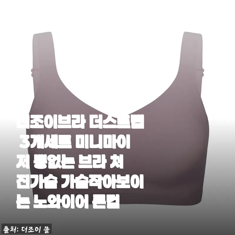 더조이브라 더스트랩 3개세트 미니마이저 뽕없는 브라 사용 후기