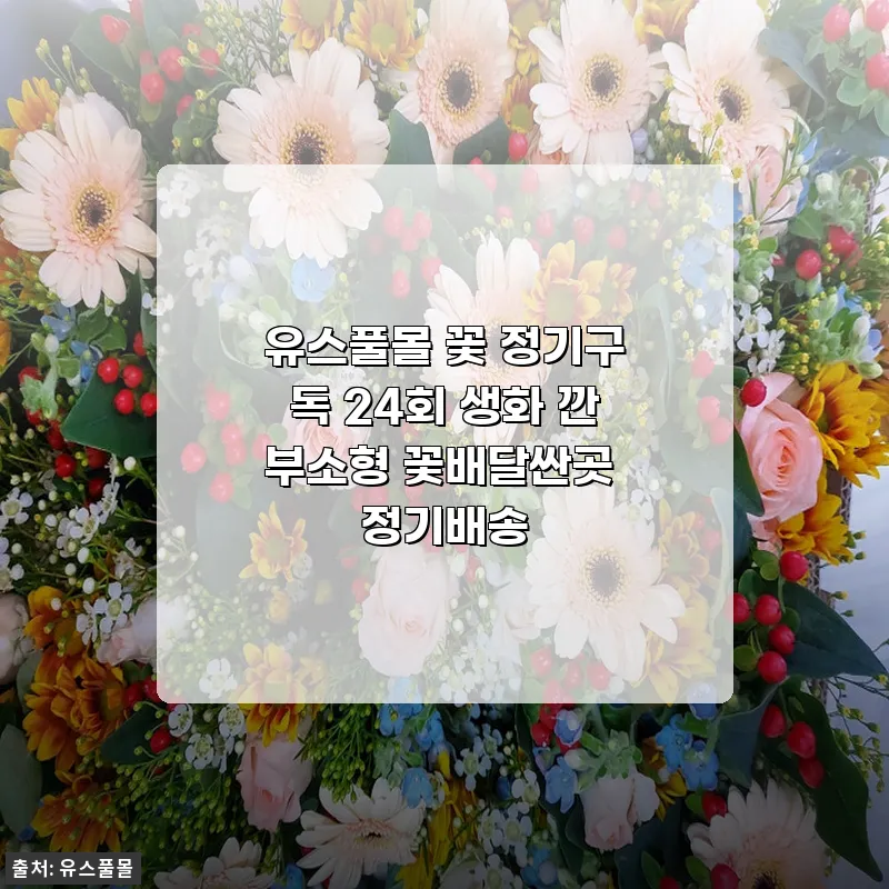 유스풀몰 꽃 정기구독 24회 깐부소형 꽃배달 사용 후기