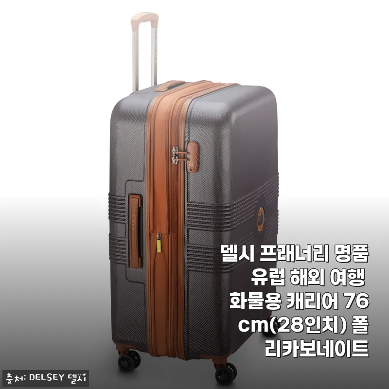 델시 프래너리 명품 유럽 해외 여행 캐리어 76cm(28인치) 사용후기