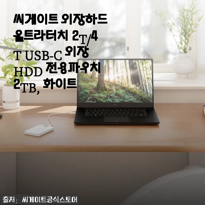 씨게이트 외장하드 울트라터치 2TB 화이트 사용 후기