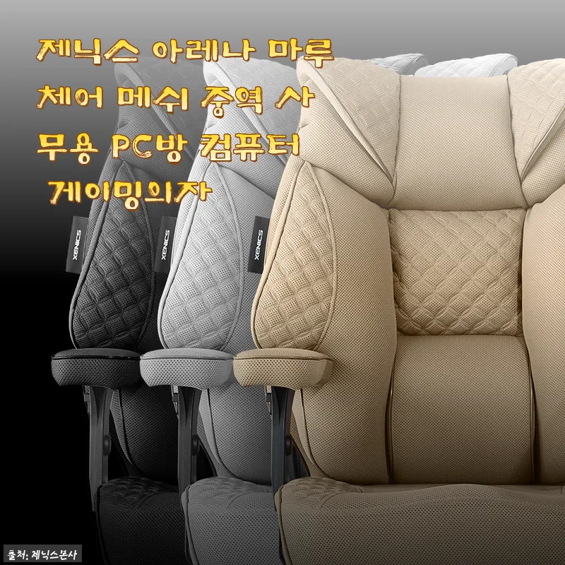제닉스 아레나 마루체어 메쉬 중역 사무용 의자 사용후기: 편안함과 견고함의 균형
