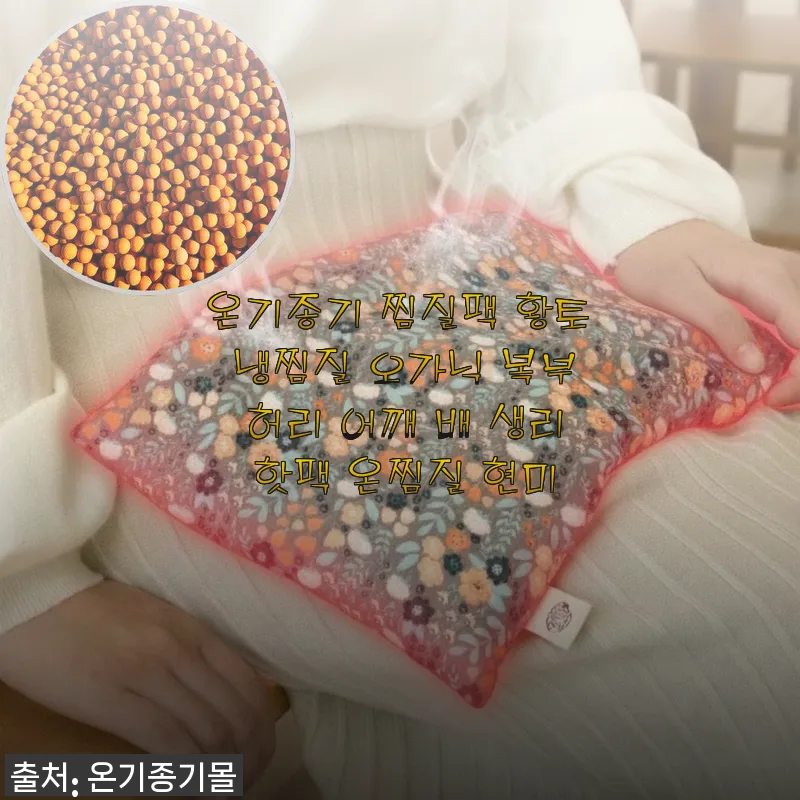 온기종기 찜질팩 황토 냉찜질 오가닉 복부 허리 어깨 배 생리 핫팩 사용후기