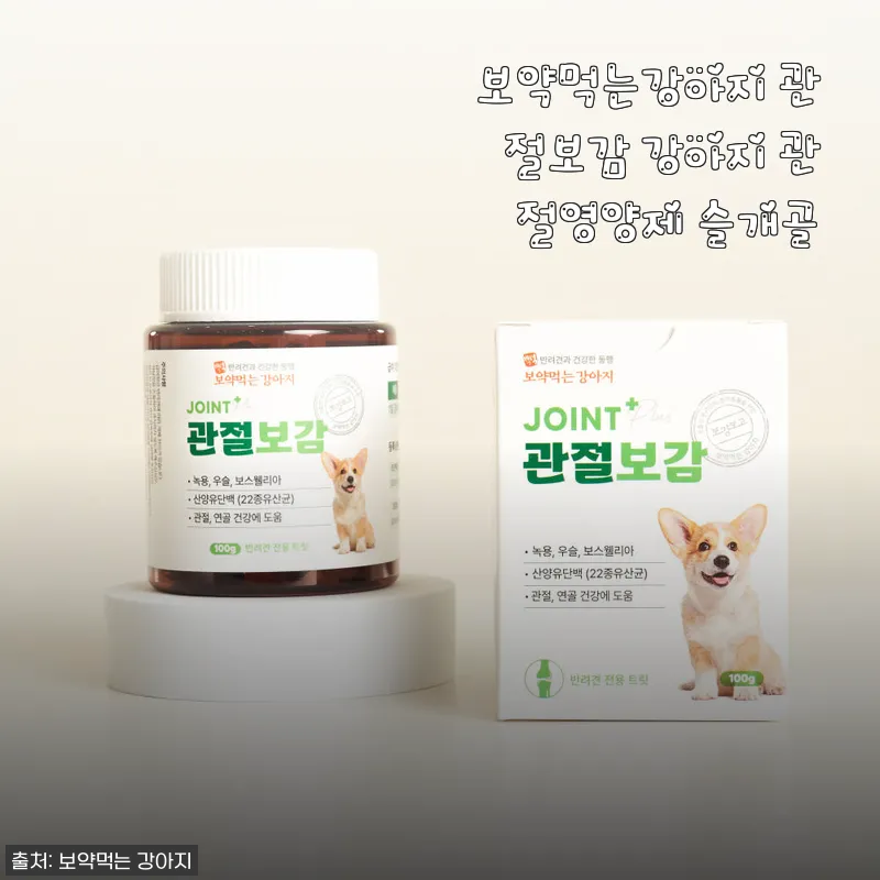 보약먹는강아지 관절보감 강아지 관절영양제 사용후기