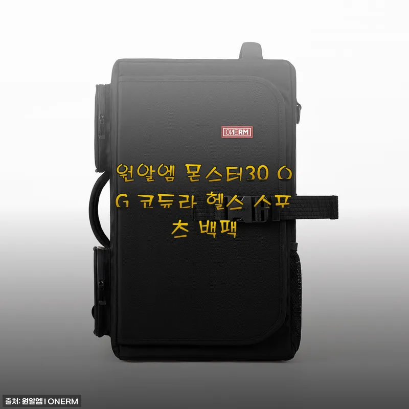 원알엠 몬스터30 OG 코듀라 헬스 스포츠 백팩 사용후기와 구매팁