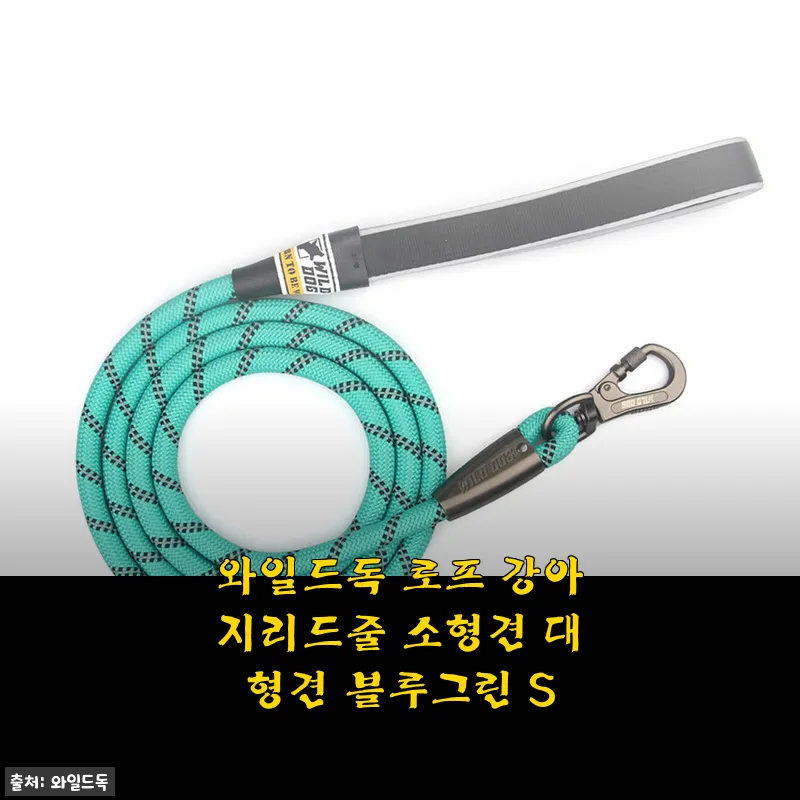 와일드독 로프 강아지리드줄 소형견 대형견 블루그린 S 사용후기